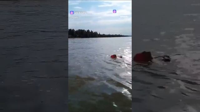 В 59 лет я переплыла Иртыш.