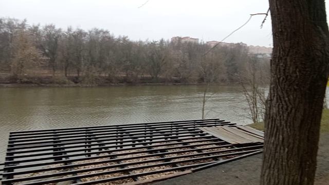 VID_20250201_144523