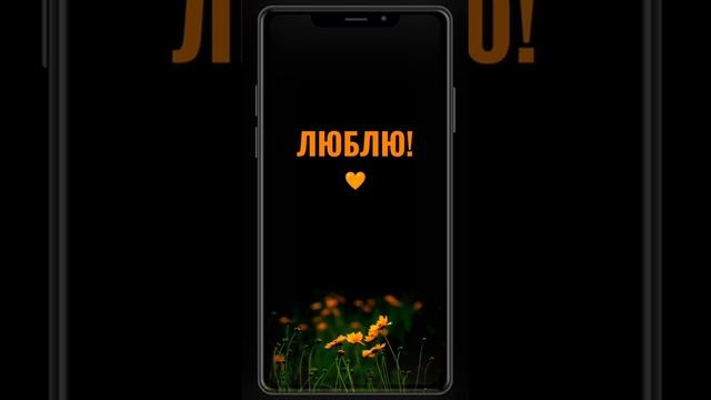 VID-20250518-WA0003.mp4
