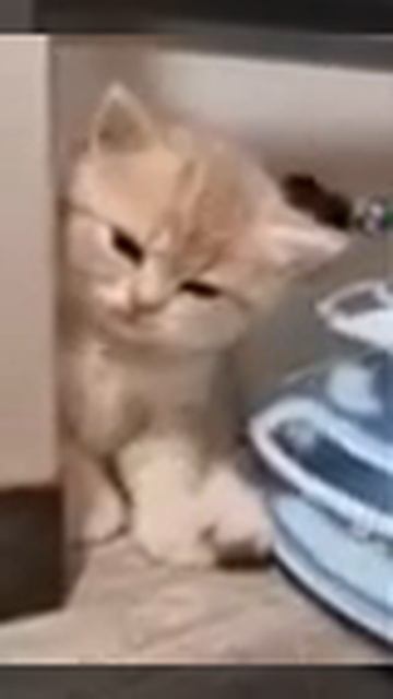 :)