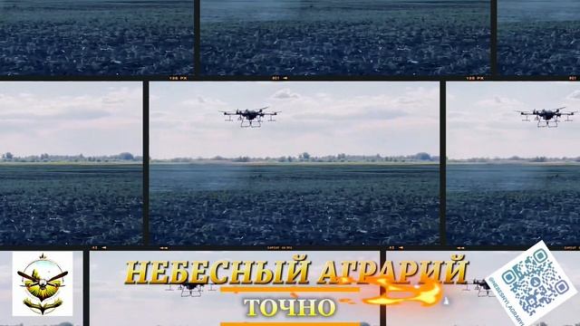 ОБРАБОТКА, ОПЫЛЕНИЕ, ОПРЫСКИВАНИЕ ПОЛЕЙ И САДОВ ДРОНАМИ — БЫСТРО, ТОЧНО, ЭФФЕКТИВНО!