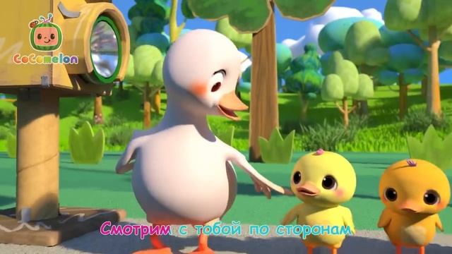 Сocomelon - День с Хомяком   Сборник 1 Час   CoComelon на русском — Детские песенки