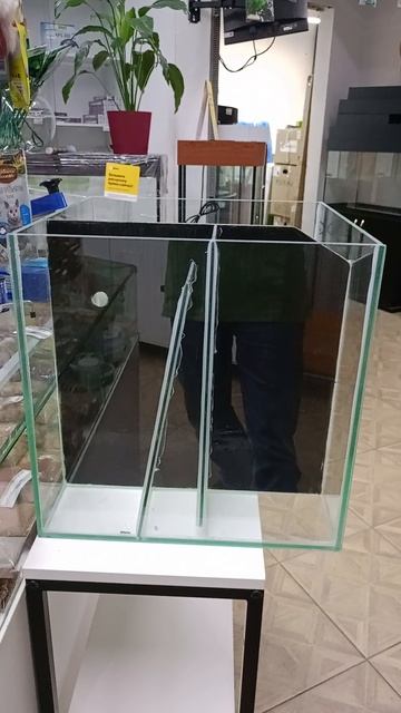Морской аквариум Иркутск