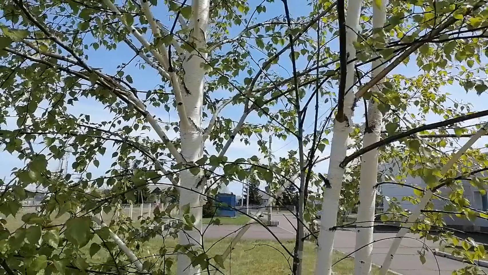 Побродить люблю окрест