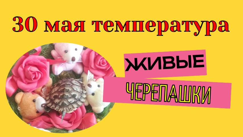30 мая температура
