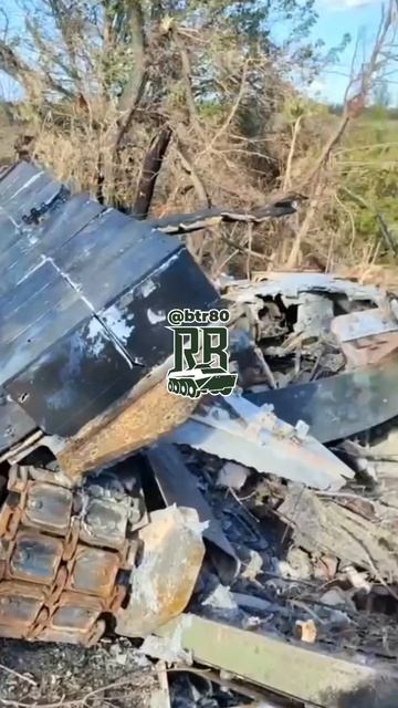 Уничтоженный подарок западного папочки - Bradley