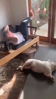 худеем к лету