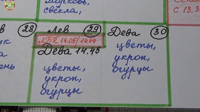 Лучшие дни для посева в июне 2025 года — не пропусти!