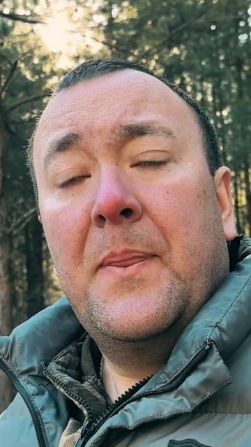 Когда начинается сезон грибов в Ярославской области
