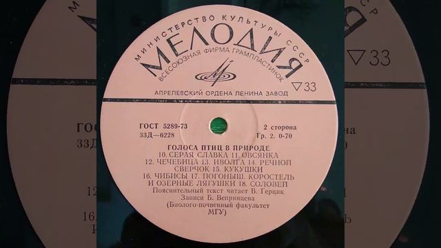 Голоса птиц в природе (1 серия). Птицы средней полосы Ев