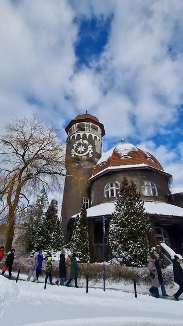 Светлогорск