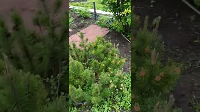 1000033309.mp4