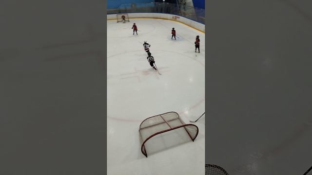 хоккей