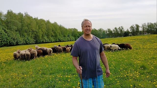псалом 22