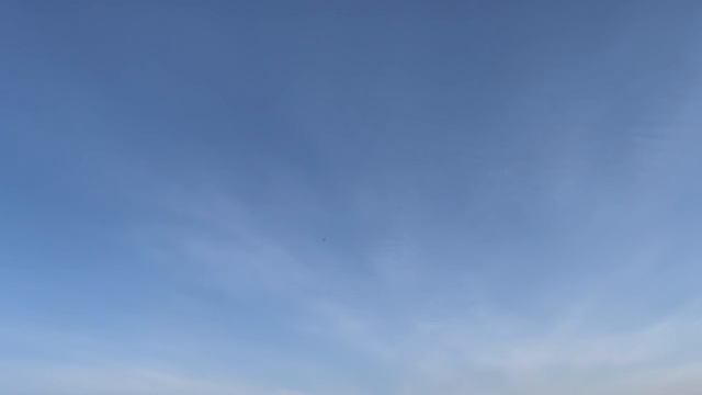 BioTeach Чудо-утро!