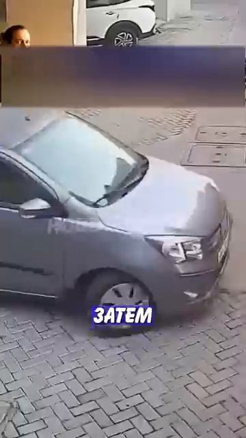 Новостничок (211)