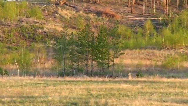 Позиция ракеты РС-20 601 Полк Карталы
