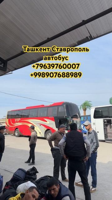 Ташкент Ставрополь автобус #автобус #ташкент #ставроп?