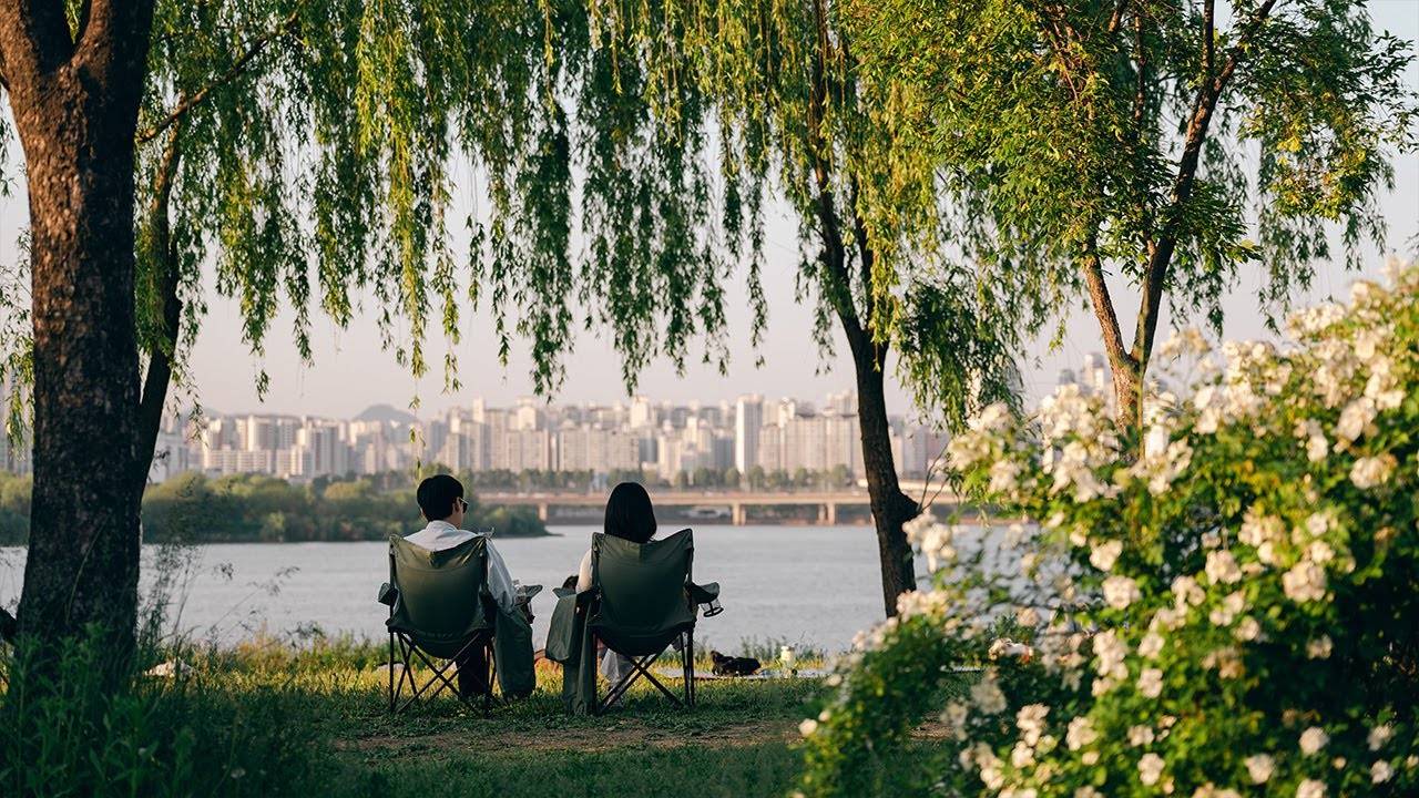 When the Sun Sets, the River in Seoul Turns Romantic 🌃 ｜ Travel Korea Vibes