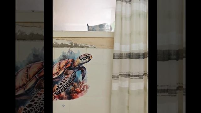 Сдается 1 комнатная квартира в Москве. Головинский р-н. м. Коптево /м. Водный стадион. Длительно