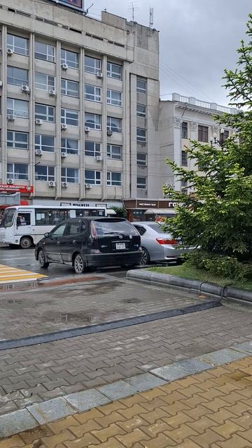 18.05.25г. Амурфест