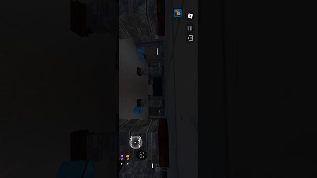 1000007938.mp4