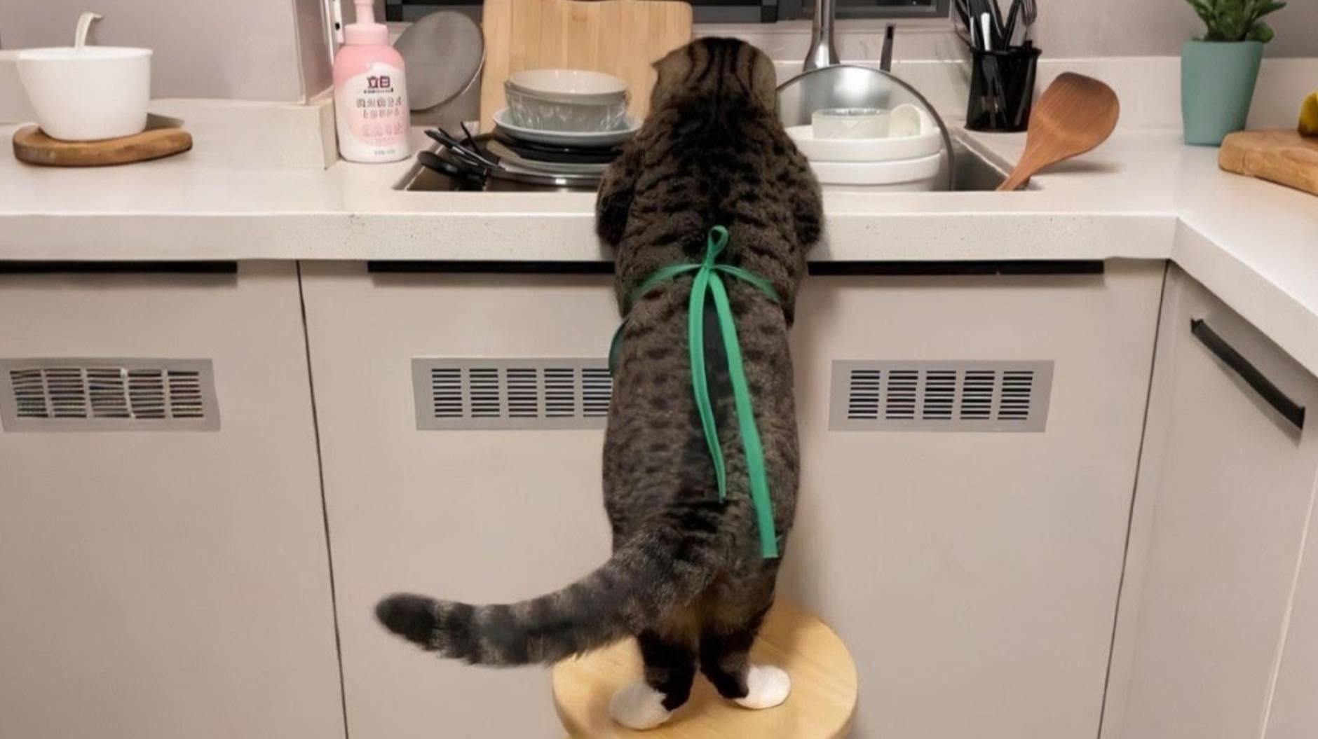 Приколы с котами! С ОЗВУЧКОЙ! Самые смешные животные! Смешные коты! ПОПРОБУЙ НЕ ЗАСМЕЯТЬСЯ!