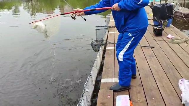 Спорт зона