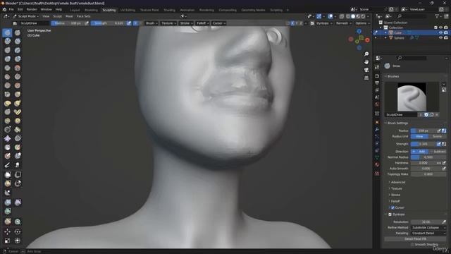205- Project Intro