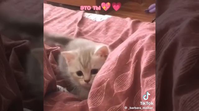MARIMARINA555_KET