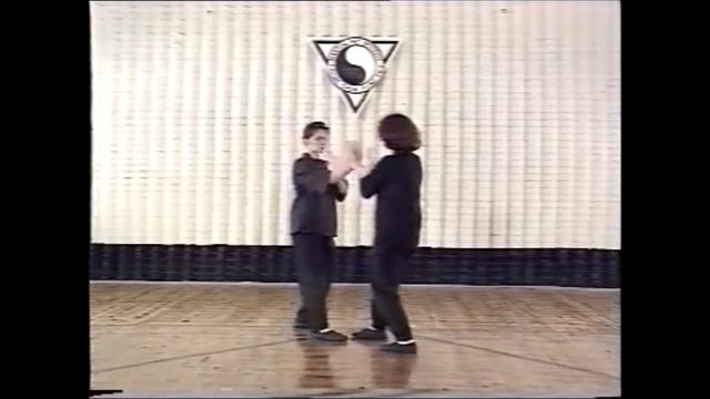 7 УРОКОВ Вин Чун КУНФУ / 7 Wing Chun KUNGFU LESSONS  / 7堂詠春拳功夫課