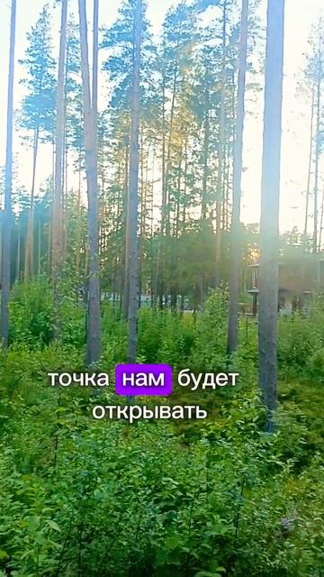 С чего начать создавать сад? #ландшафт #курсыландшафтн