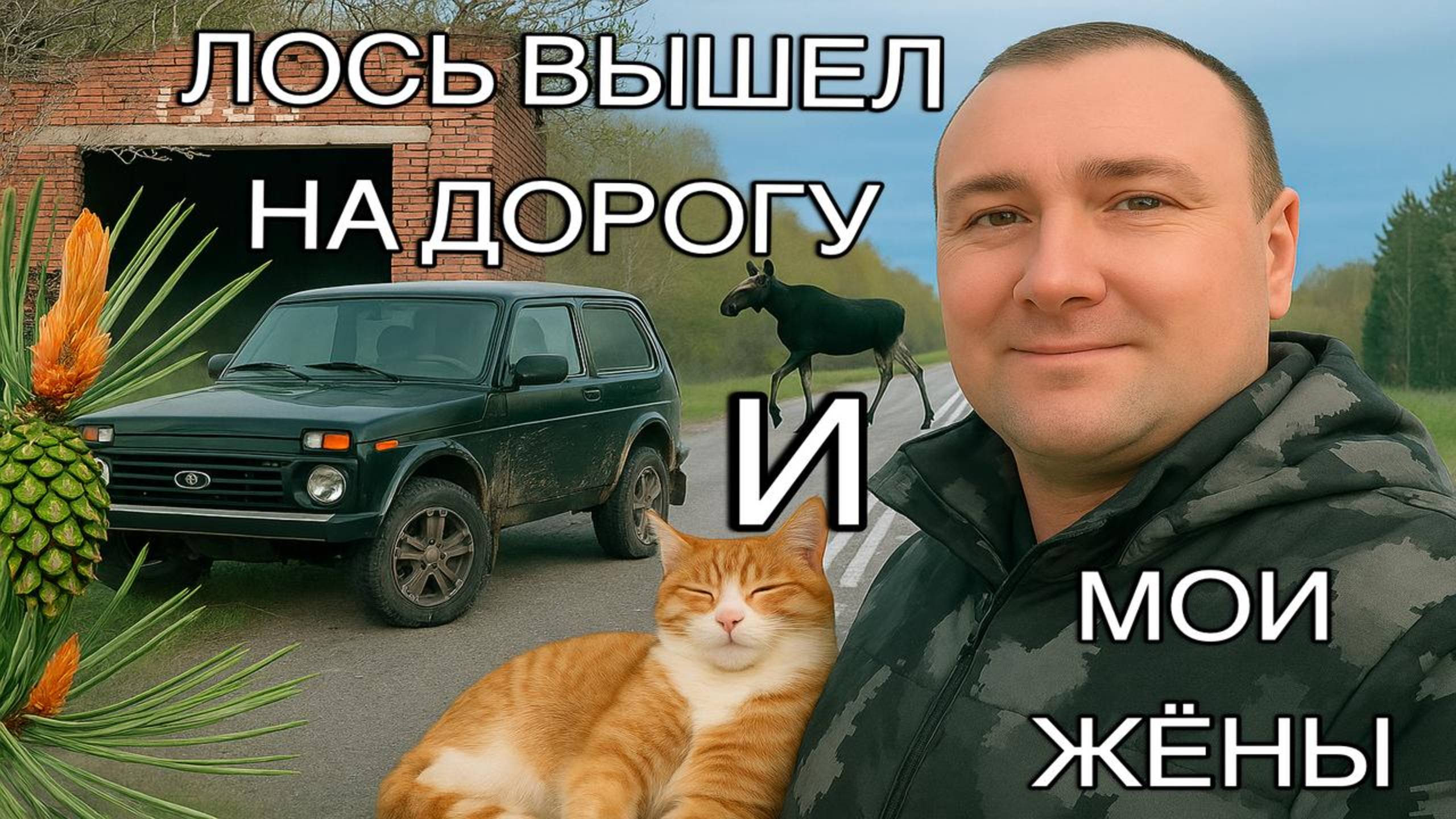 ЛОСЬ ВЫШЕЛ НА ДОРОГУ И МОИ ЖЁНЫ