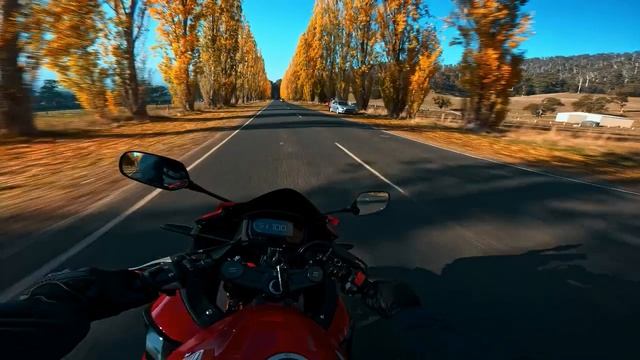 Покатаемся вместе ? 🙂