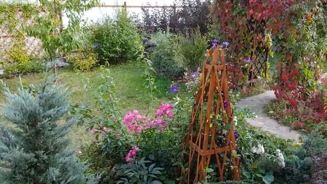 Работаю в саду и огороде часть (6)