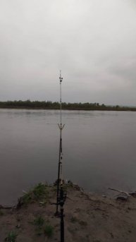 Середина мая(р.Туба)