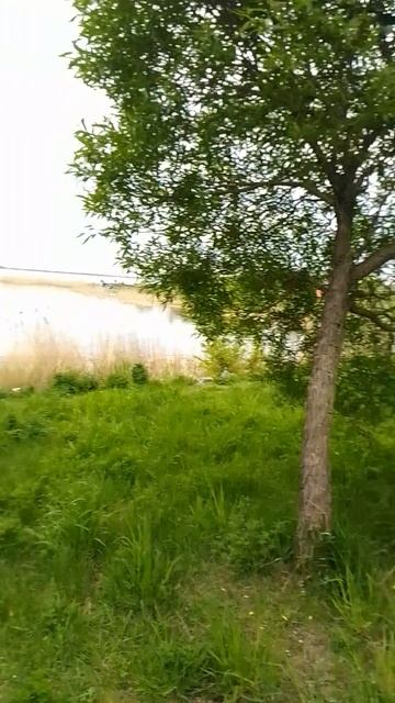 Просто без слов!