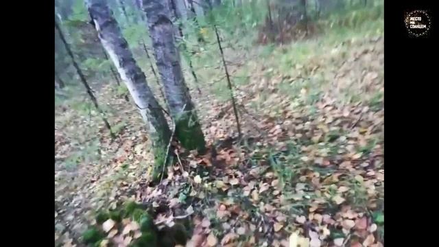 Таганай. Гора Кленовая. 5 часть. Река Куса Река Куса Антоша