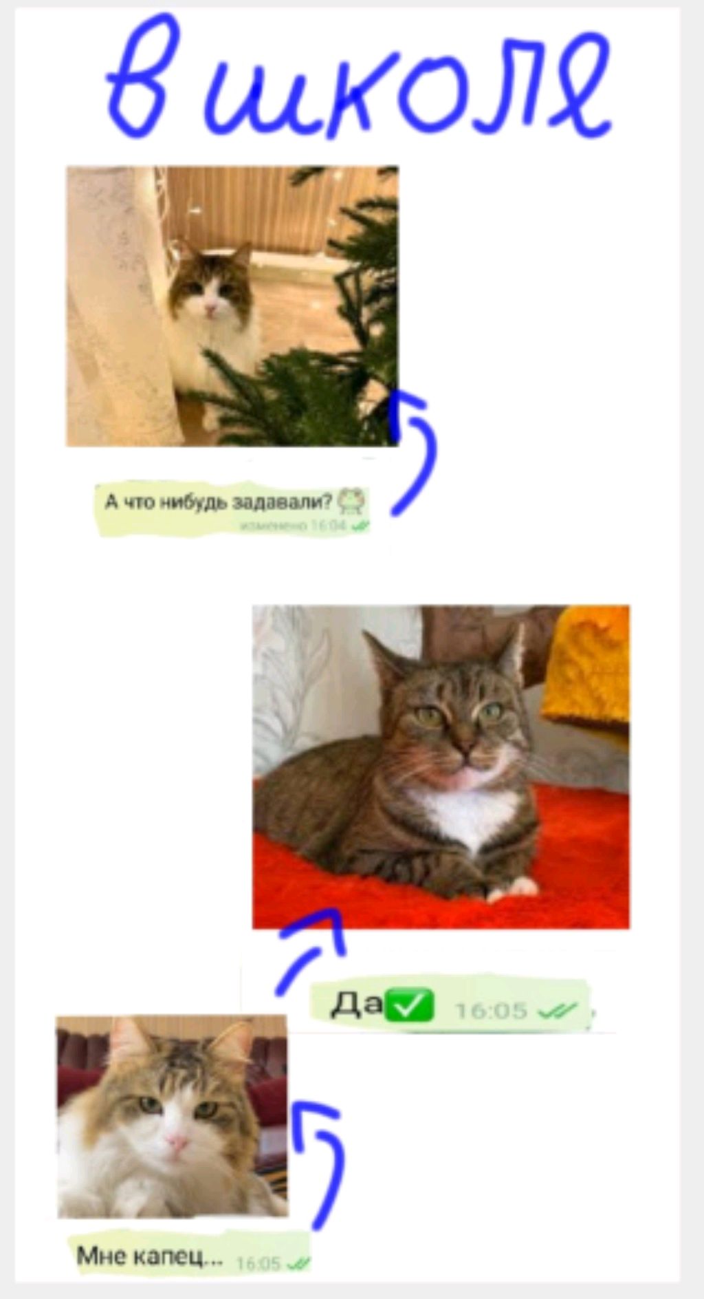 мир денди