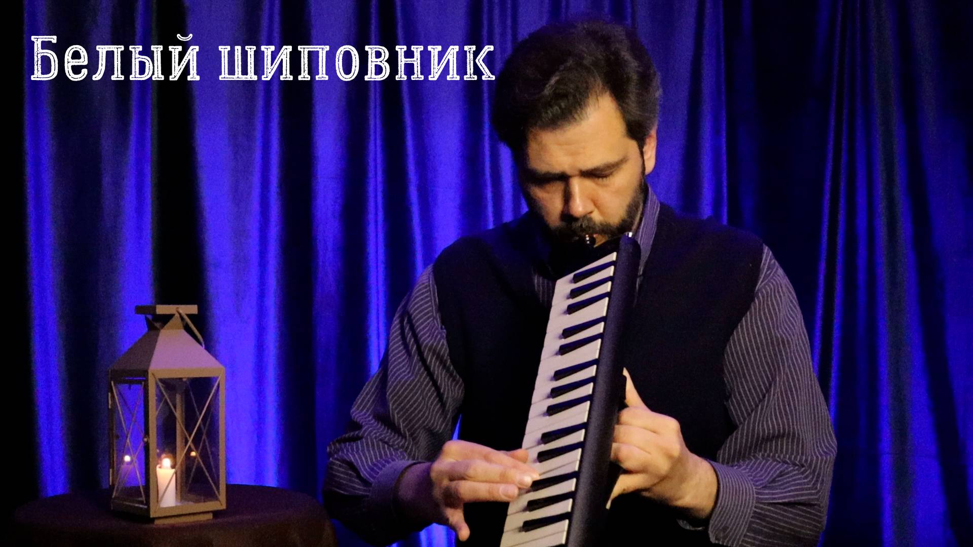 Белый шиповник