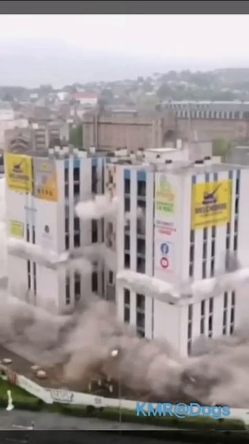 Его разбудит только вкусный завтрак😋😂 ( видео про собак )