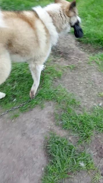 1000001186.mp4
