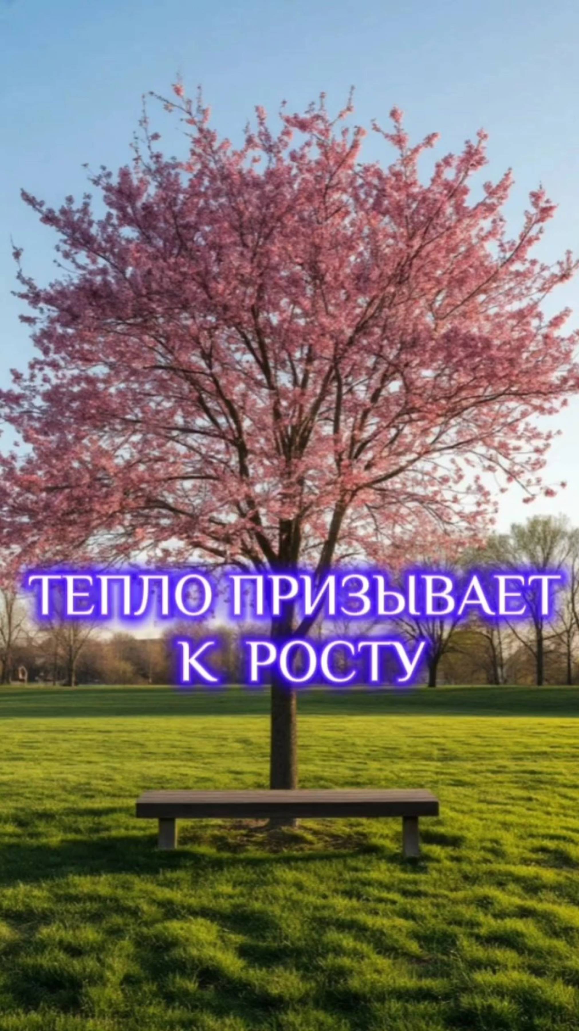 2025-05-19-062806841
Евгений Антропов @stihiantr