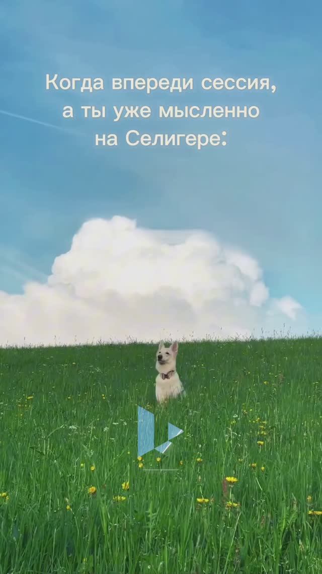 Уже скоро отправимся на Селигер! 🏕️