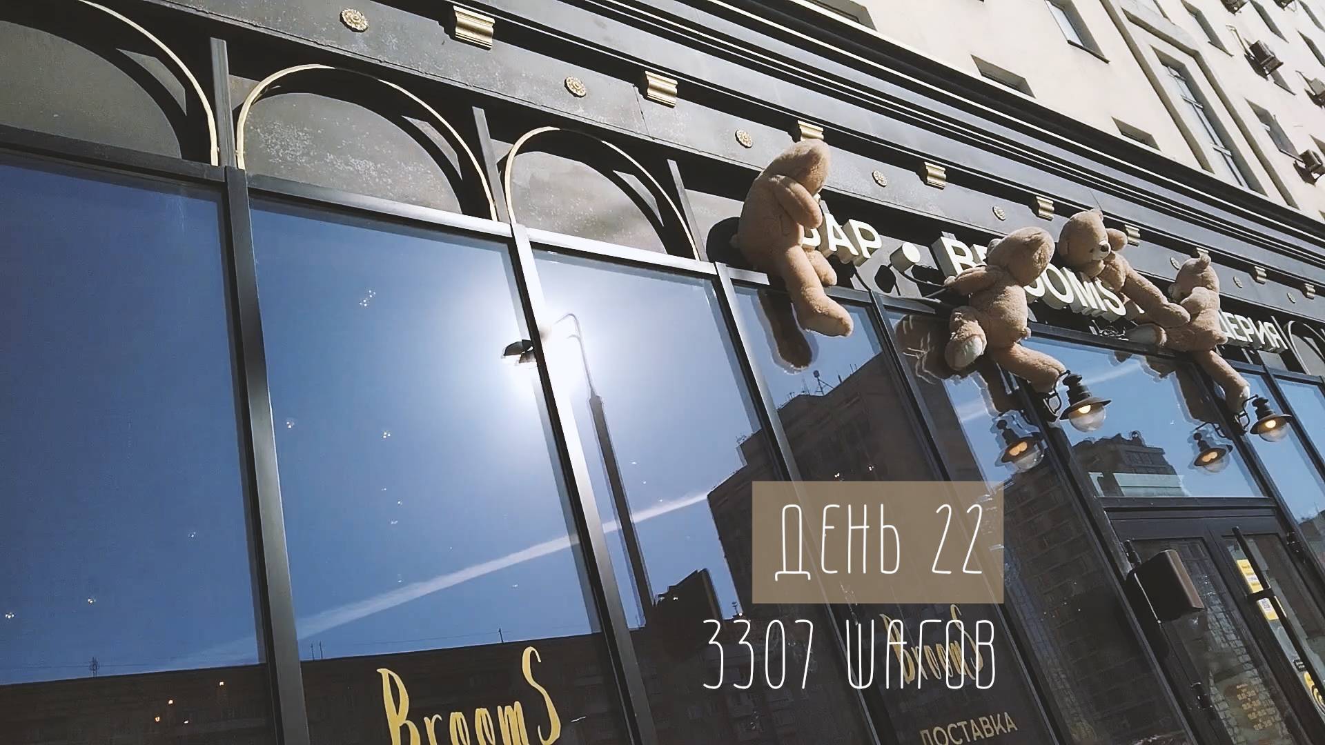 Мир теней и голубей. 22 день. 3307 шагов