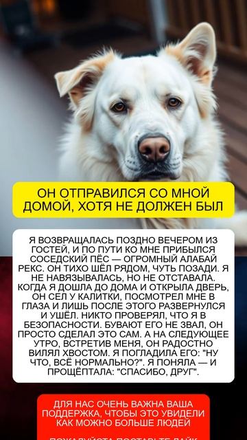 ОН ОТПРАВИЛСЯ СО МНОЙ ДОМОЙ, ХОТЯ НЕ ДОЛЖЕН БЫЛ