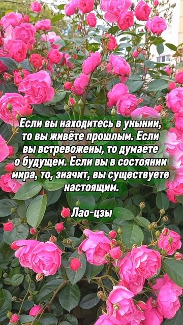 Прошлое, настоящее, будущее