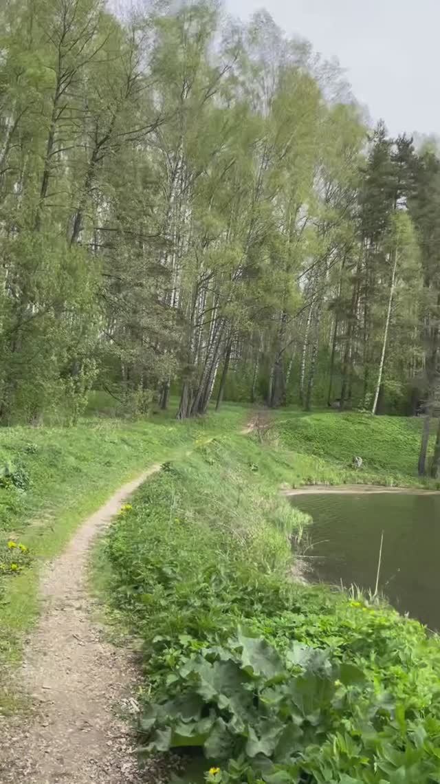 Ветер и свист - к дождю…