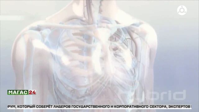 Всемирный день борьбы с артериальным давлением