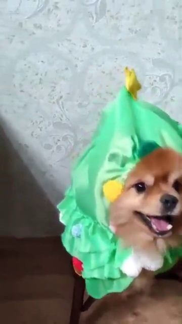 с новым годом!